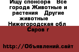 Ищу спонсора - Все города Животные и растения » Другие животные   . Нижегородская обл.,Саров г.